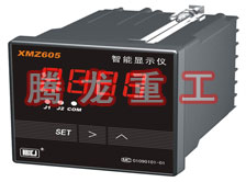溫度表、數(shù)字顯示儀、濕度表