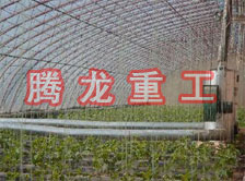 大棚花卉供暖設(shè)備、大棚卉采暖設(shè)備、大棚花卉取暖設(shè)備
